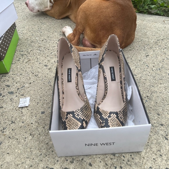 Nine West Beige and Black Snakeskin Heels - Picture 1 of 2